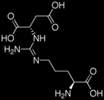 chemical structure of argininosuccinate
