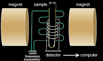Diagram of nuclear magnetic resonance process