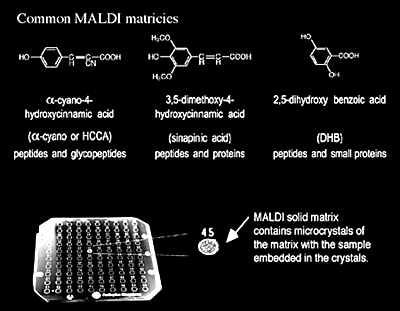 Common MALDI matricies