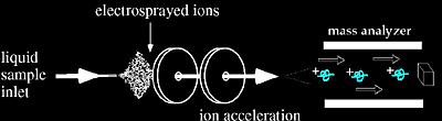 Diagram of electrospray ionization