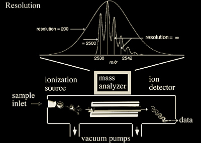A mass analyzer in the context of a mass spectrometer