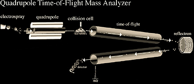 Quadrupole time-of-flight mass analyzer