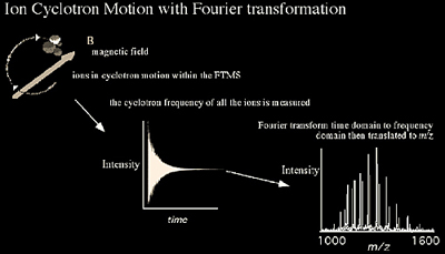 Ion cyclotron motion with Fourier transformation