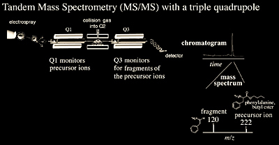 Example of tandem mass spectrometry with a triple quadrupole