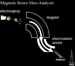 Magnetic sector mass analyzer