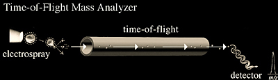 Time of flight mass analyzer