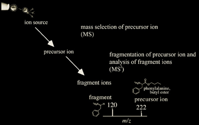 A model of tandem mass spectrometry analysis