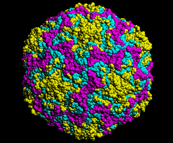 Rendering of a cell membrane